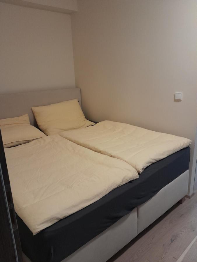 Апартаменты Apartman Pod Jasanem Hojsova Straz Brcalnik Железна-Руда Экстерьер фото